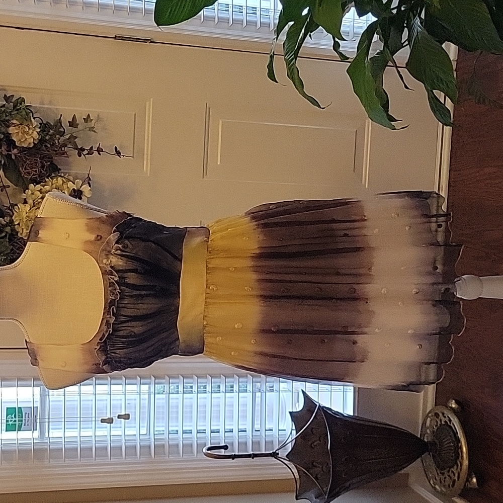 Parameter sleeveless dress sheer fabric fully lined cream yellow gray sz 4 EUC